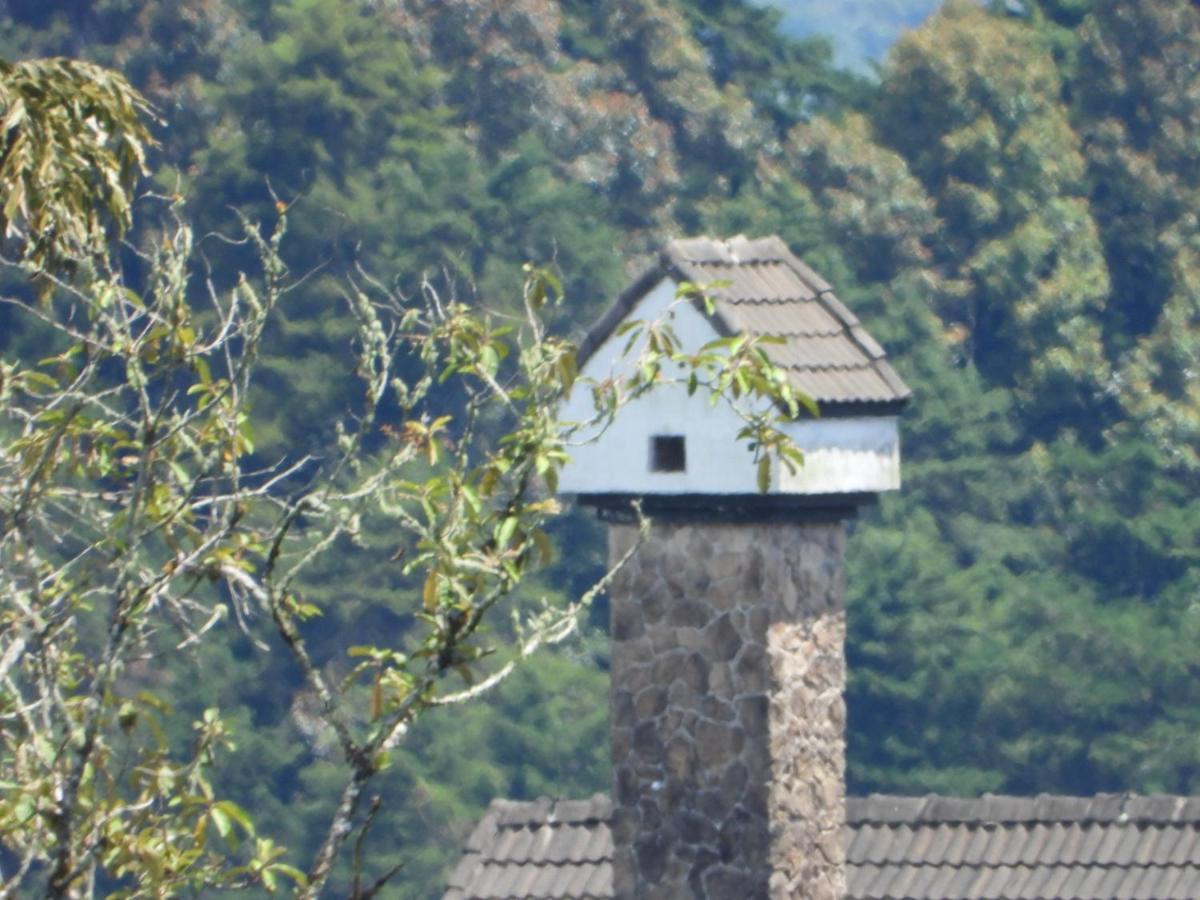 Apartment Bugdet Brinchang